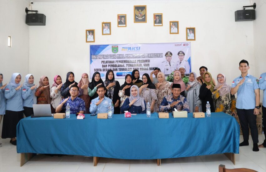 Pelaku Usaha Mikro di Desa Polewali Marajae Dibekali Pelatihan Pengembangan Usaha, Desain dan Teknologi