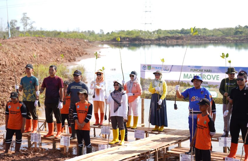 Hari Mangrove Sedunia 2026, Tanah Bumbu Tanam Mangrove untuk Generasi Mendatang