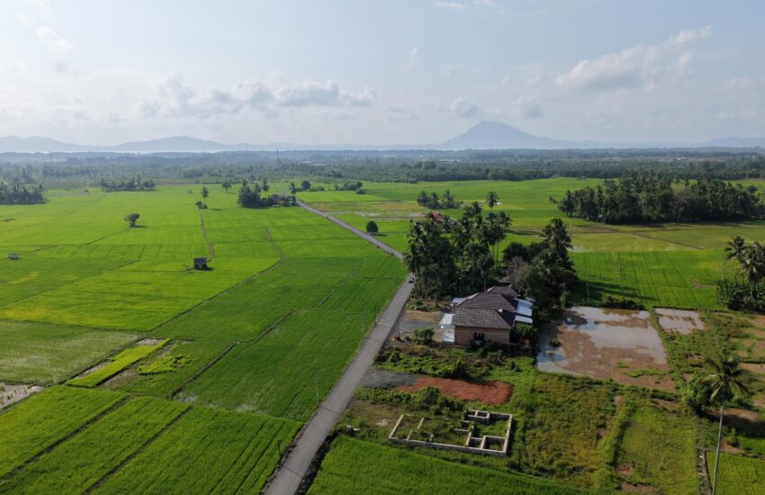 Bupati Andi Rudi Latif Dorong Produktivitas Petani dan Petambak Lewat Pengaspalan Jalan di Desa Sepunggur